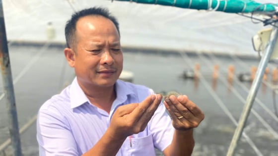 mang-cong-nghe-hien-dai-den-voi-nguoi-nuoi-tom