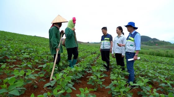 nhung-nguoi-‘gieo-hat’