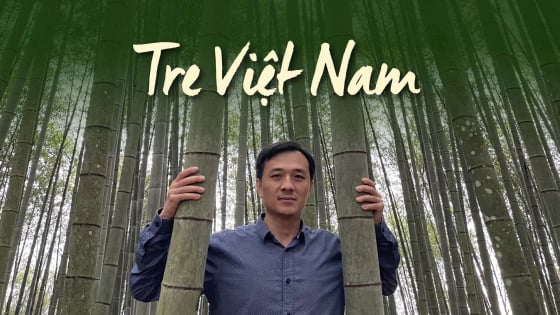 tim-tre-trong-dong-chay-hien-dai
