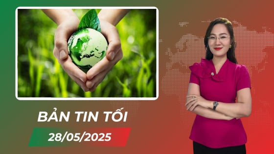 san-sang-cho-le-mit-tinh-quoc-gia-huong-ung-ngay-moi-truong-the-gioi