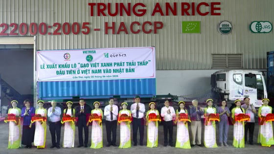lo-gao-phat-thai-thap-dau-tien-‘xuat-ngoai’-co-gia-820-usd/tan