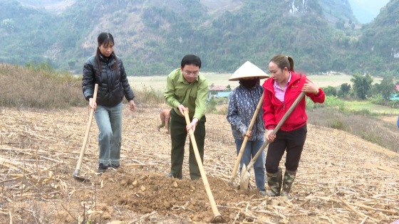 tuan-giao:-mo-hinh-doi-cong-hieu-qua-kinh-te-tap-the