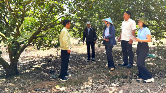 giu-chat-vietgap-sau-chung-nhan