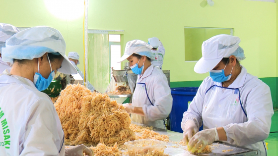 nong-nghiep-bac-kan-phan-dau-tang-truong-4,3%