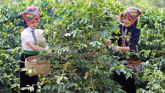 nong-nghiep-sinh-thai:-huong-di-ben-vung-cho-tuong-lai