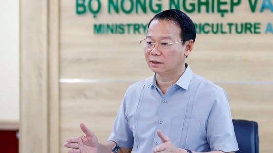bo-truong-do-duc-duy-chu-tri-hoi-nghi-phat-trien-sau-rieng-ben-vung