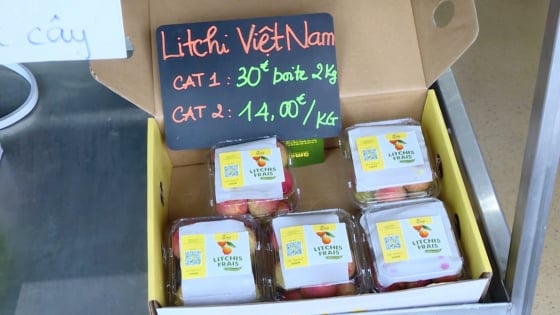 vai-thieu-viet-nam-len-ke-sieu-thi-phap