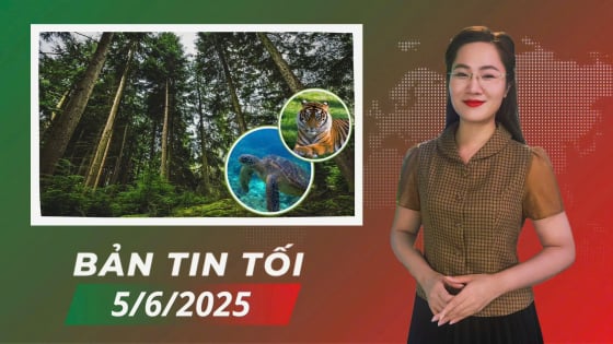 gop-y-sua-doi-luat-lam-nghiep-va-luat-da-dang-sinh-hoc