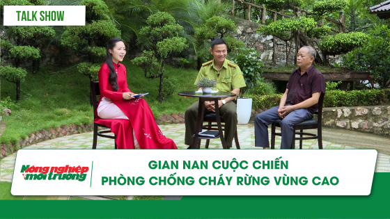 gian-nan-cuoc-chien-phong,-chong-chay-rung-vung-cao