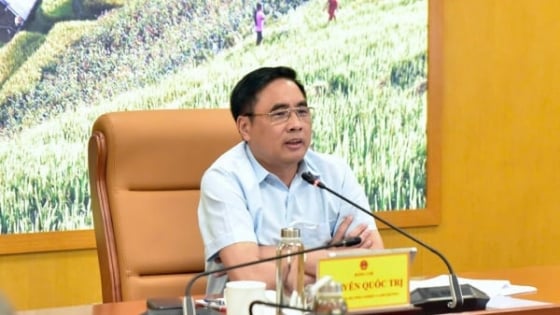 uu-tien-on-dinh-nganh-che-bien-go,-hoan-thien-phap-ly-chinh-quyen-co-so