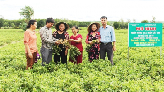san-xuat-cay-trong-can-ap-dung-tuoi-tiet-kiem:-toi-uu-tren-ca-ba-mat