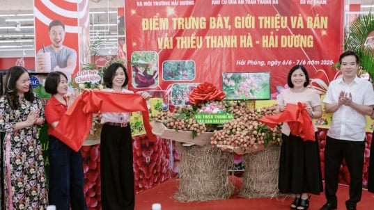 vai-thieu-thanh-ha-len-ke-sieu-thi-go!-hai-phong