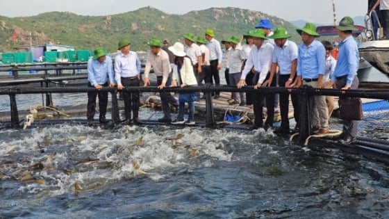 den-nam-2030,-kinh-te-bien-dong-gop-10%-gdp-ca-nuoc
