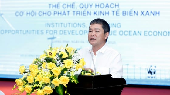 quang-binh-can-the-che-va-quy-hoach-de-phat-trien-kinh-te-bien
