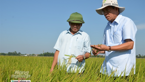 ‘di-hai’-va-su-chung-tinh-cua-nguoi-hue