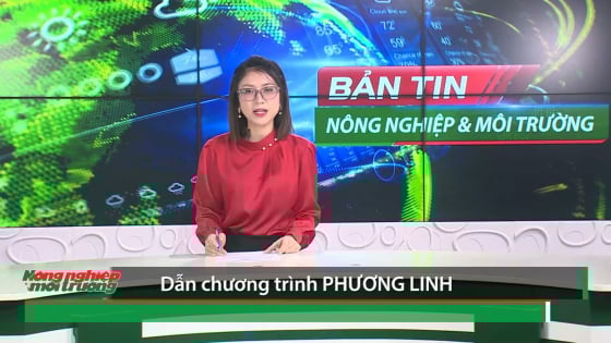 ban-tin-truyen-hinh-nn-mt-so-23/2025-(so-410)