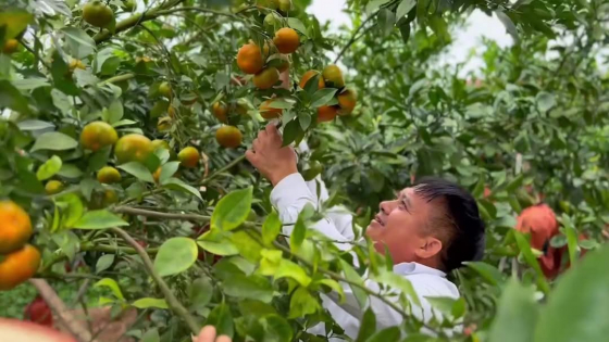 mot-huyen-o-quang-ninh-co-gan-2.900-ho-nong-dan-san-xuat-kinh-doanh-gioi