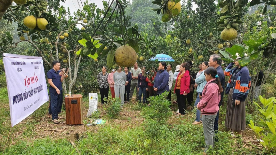 nhung-dau-an-cua-khuyen-nong-lao-cai-nam-2024
