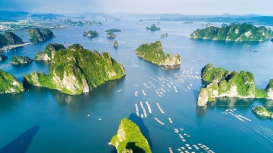 de-xuat-phan-cap-86-tham-quyen-cua-bo-truong-bo-nong-nghiep-va-moi-truong-cho-cap-tinh