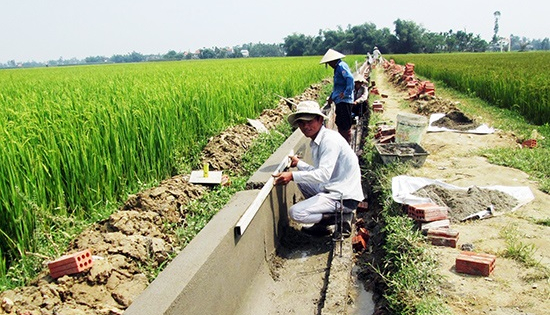 quang-nam:-nhat-tri-cho-dn-dau-tu-gan-75-ty-dong-phat-phat-trien-nong-nghiep