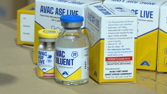 vaccine-asf-tiep-tuc-chinh-phuc-thi-truong-quoc-te