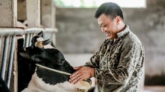 dong-bang-song-cuu-long-phat-trien-chan-nuoi-theo-huong-an-toan-va-ben-vung