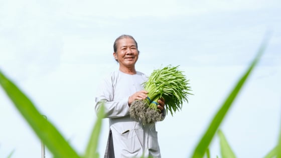 15-nam-‘ben-long’-voi-rau-muong-vietgap-cua-ong-tam-bi