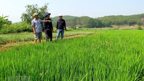 khuyen-cao-bao-ve-san-xuat-ung-pho-bao-so-1