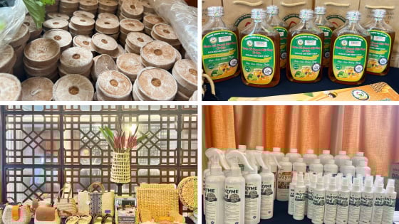 cuoc-thi-‘khoi-nghiep-xanh’-lan-11-tang-suc-hut-sang-tao-xanh