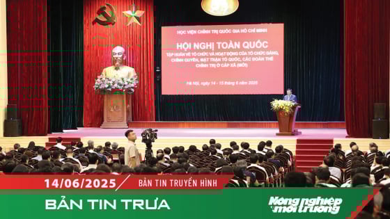 hoi-nghi-tap-huan-toan-quoc-van-hanh-he-thong-chinh-tri-cap-xa-(moi)