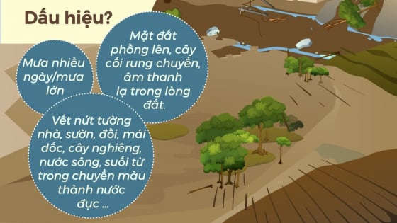 ky-nang-phan-ung-nhanh-trong-tinh-huong-sat-lo-dat