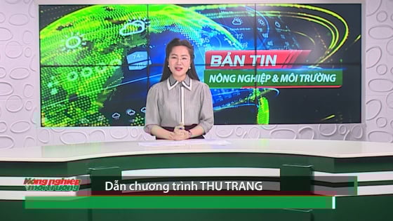 ban-tin-truyen-hinh-nong-nghiep-va-moi-truong,-so-24/2025.