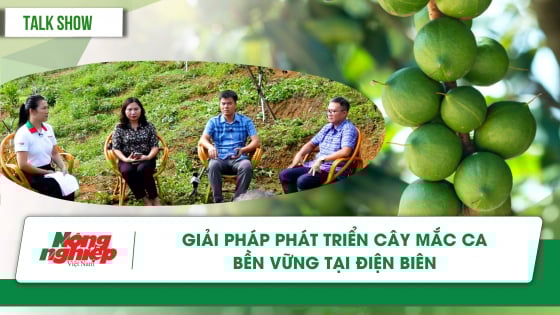 chuyen-gia-giai-dap-ve-phat-trien-cay-mac-ca-ben-vung-tai-dien-bien