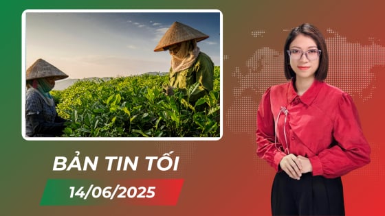 thay-doi-tu-duy-canh-tac-o-vung-che-tram-tuoi