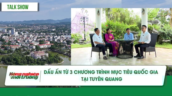 dau-an-tu-3-chuong-trinh-muc-tieu-quoc-gia-tai-tuyen-quang