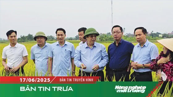 vu-dong-xuan-thang-loi-o-nhieu-tinh-phia-bac