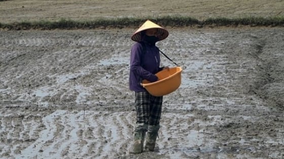 quang-tri-kien-quyet-khong-de-ruong-hoang-sau-mua-lu