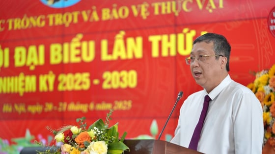 dan-dat-trong-trot-xanh-hoa,-hoi-nhap-tu-to-chuc-dang-vung-manh
