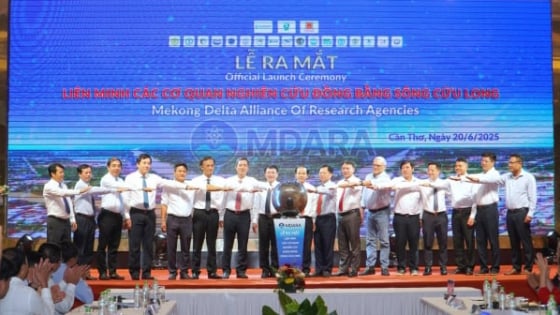 ra-mat-lien-minh-cac-co-quan-nghien-cuu-dbscl