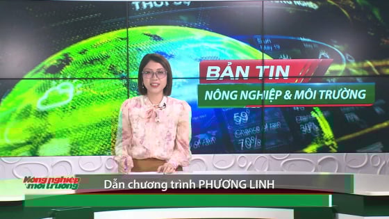 ban-tin-truyen-hinh-nong-nghiep-va-moi-truong-so-25/2025-(so-412)