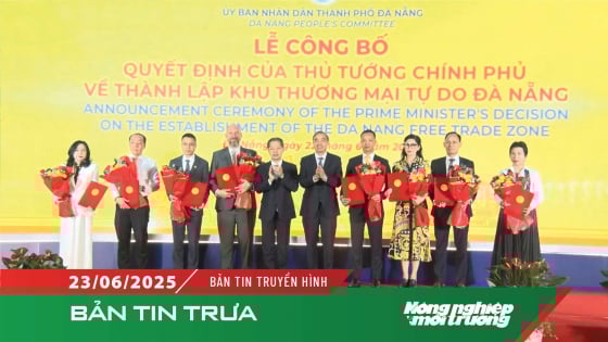 chinh-thuc-thanh-lap-khu-thuong-mai-tu-do-da-nang