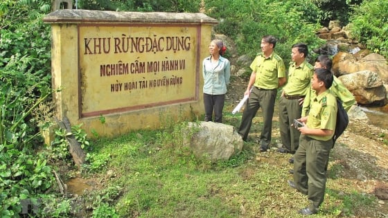 quan-ly-rung-lien-tinh-khong-con-cho-xin-y-kien-thu-tuong
