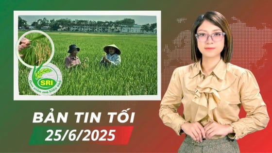 ha-noi:-se-nhan-rong-mo-hinh-canh-tac-lua-cai-tien