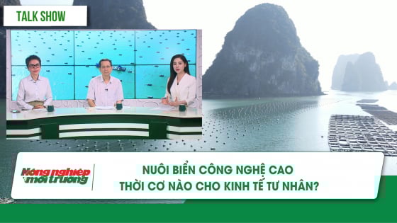 nghi-quyet-68-ky-vong-tao-dot-pha-cho-nuoi-bien