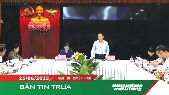 giai-quyet-dut-diem-cac-vu-khieu-nai-keo-dai-o-binh-phuoc