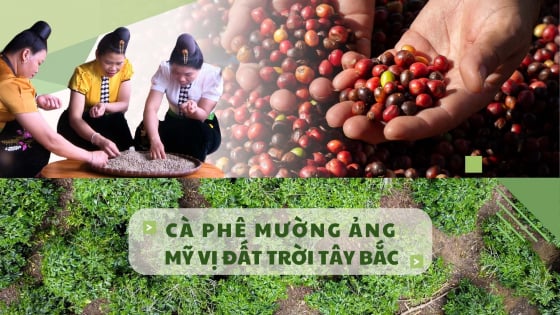 ca-phe-muong-ang-–-my-vi-cua-dat-troi-tay-bac