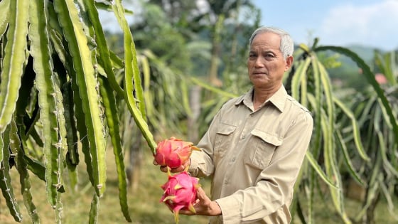 chuyen-doi-cay-trong-–-huong-di-chien-luoc-cua-lao-cai