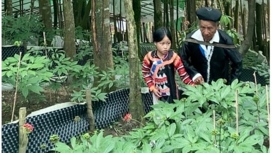 sam-lai-chau-va-khat-vong-tu-dai-ngan-tay-bac