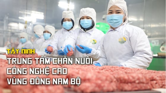tay-ninh-–-trung-tam-chan-nuoi-cong-nghe-cao-vung-dong-nam-bo