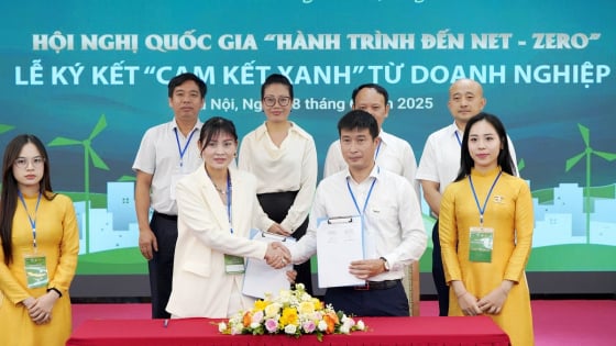 cu-hich-mo-duong-cho-doanh-nghiep-gia-nhap-cuoc-choi-net-zero-quoc-te